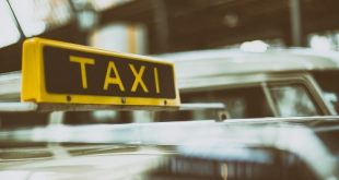 Contoh Kisah Kejujuran Supir Taxi dan Penggembala Kambing